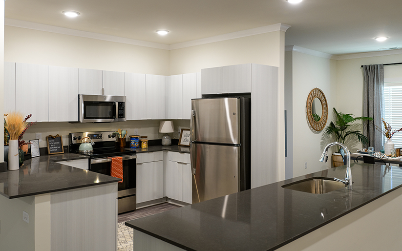 Apartments Near USF The Metropolitan Tampa