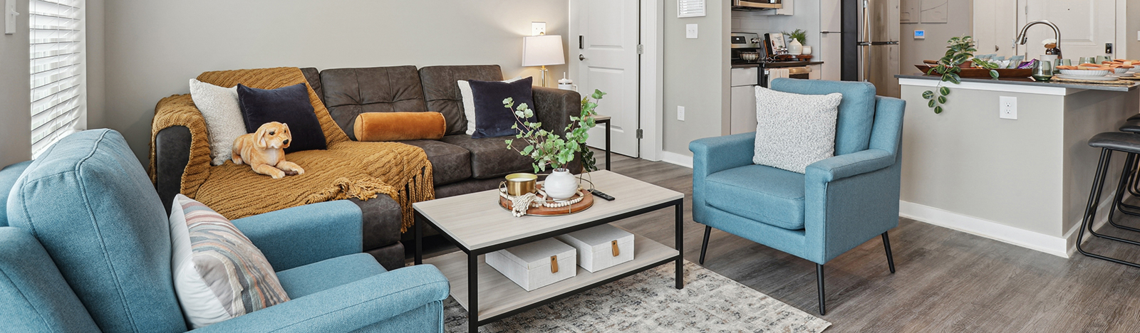 furnished living room