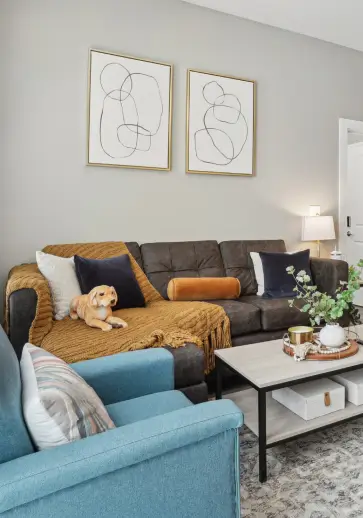 a furnished student apartment living room