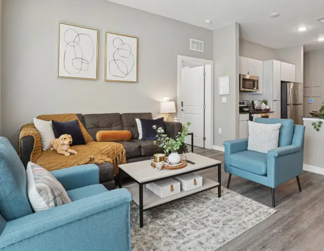 a furnished student apartment living room